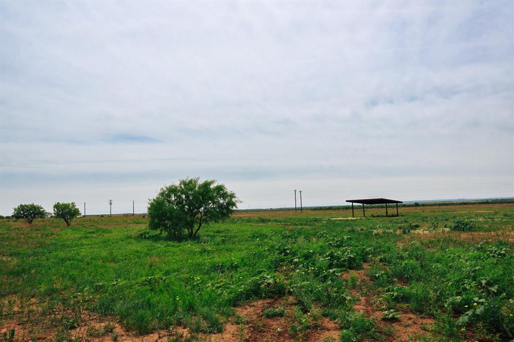 13558 County Road 440 Merkel, TX 79536 - Photo 3 of 4