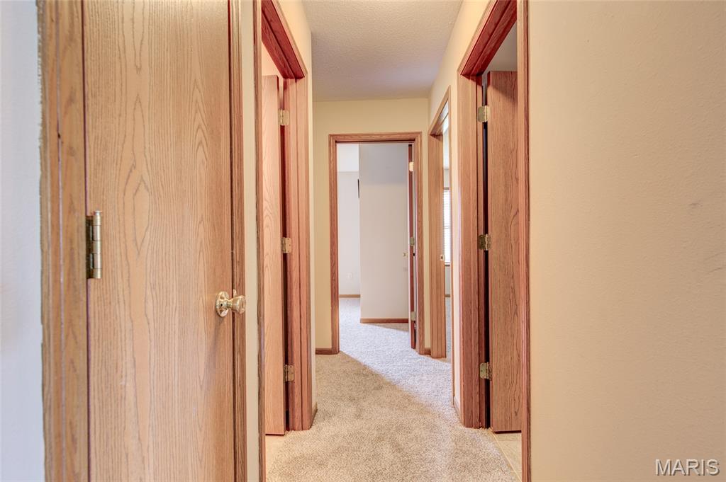 446 Pheasant Lane Moro, IL 62067 - Photo 20 of 36