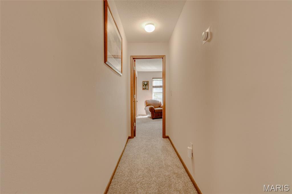 446 Pheasant Lane Moro, IL 62067 - Photo 25 of 36