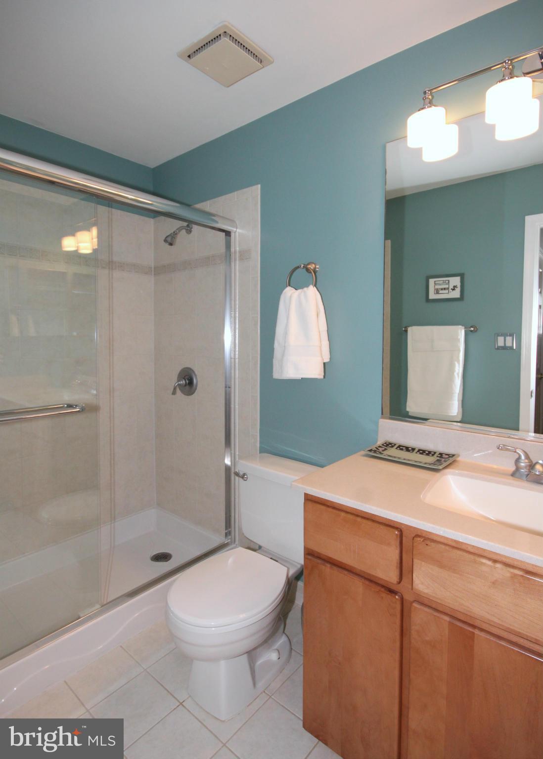 9212 Rockefeller Lane Springfield, VA 22153 - Photo 19 of 29 Bath (Master)