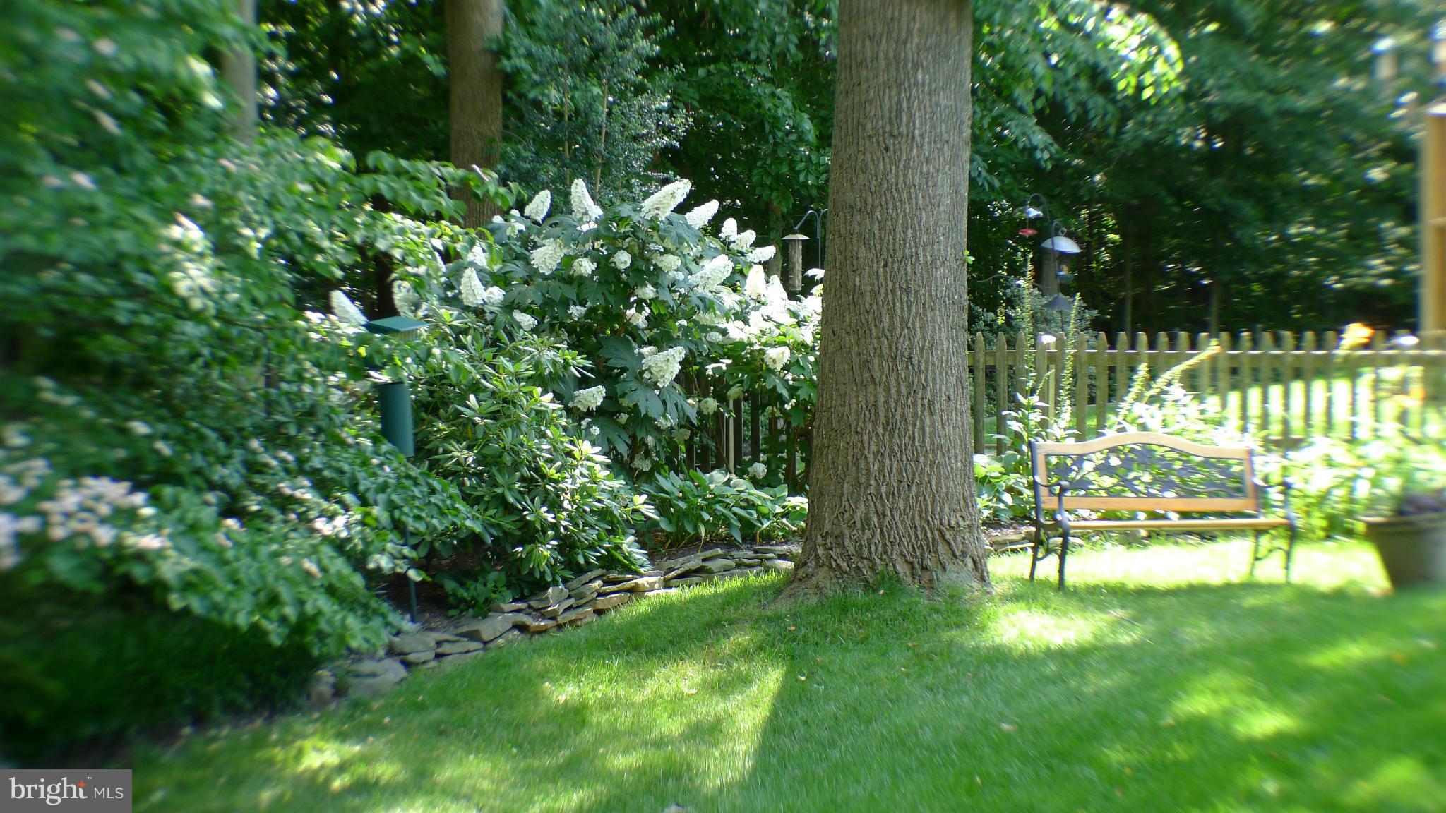 9212 Rockefeller Lane Springfield, VA 22153 - Photo 27 of 29 Exterior (Rear)