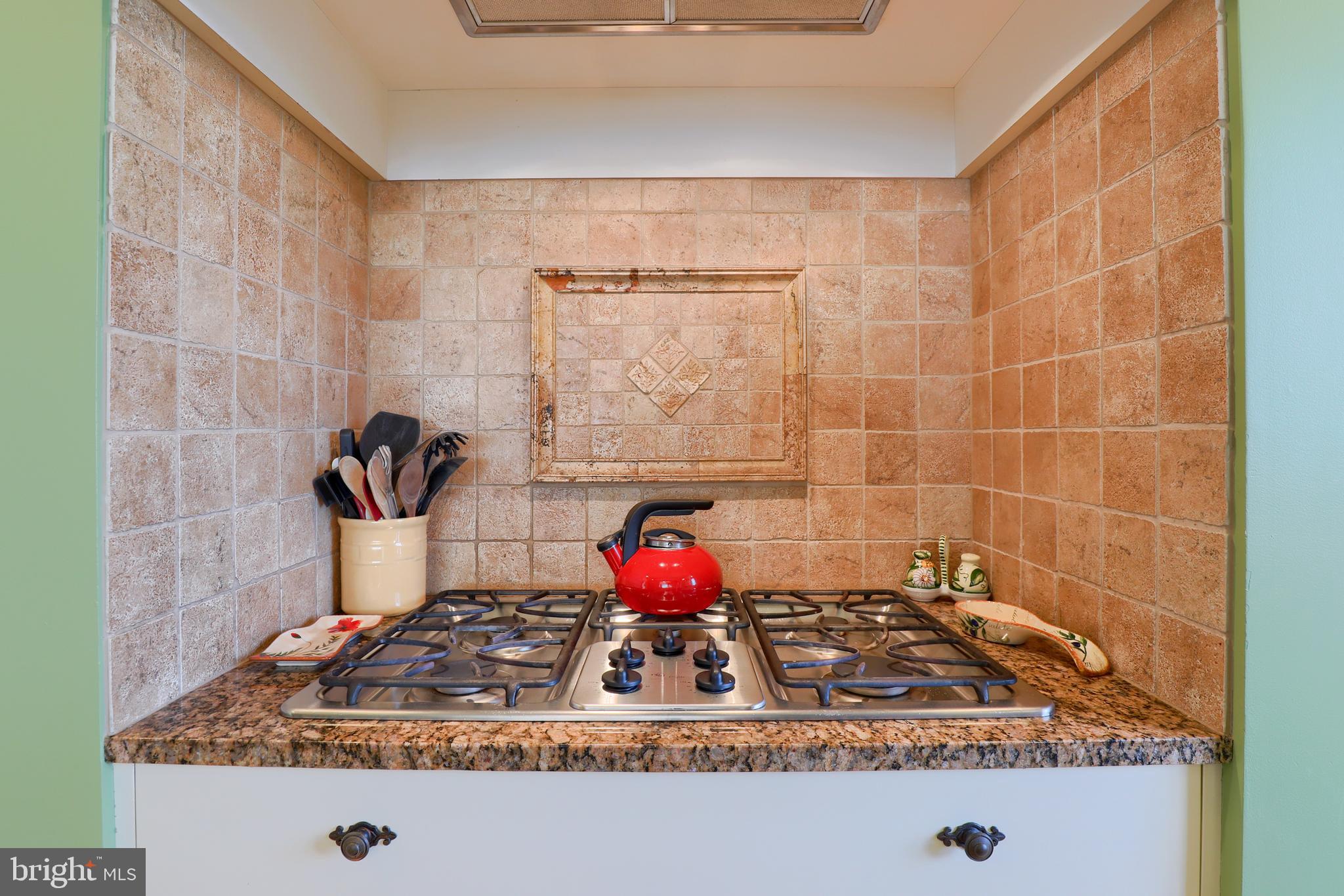 28 Windsor Lane, Unit 1 Lititz, PA 17543 - Photo 10 of 46