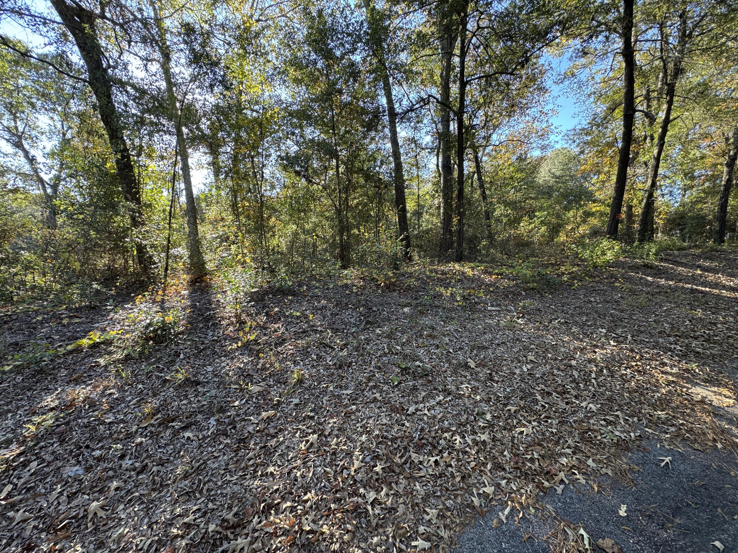 Lot #1 Charles Street Jackson, SC 29831 - Photo 9 of 12