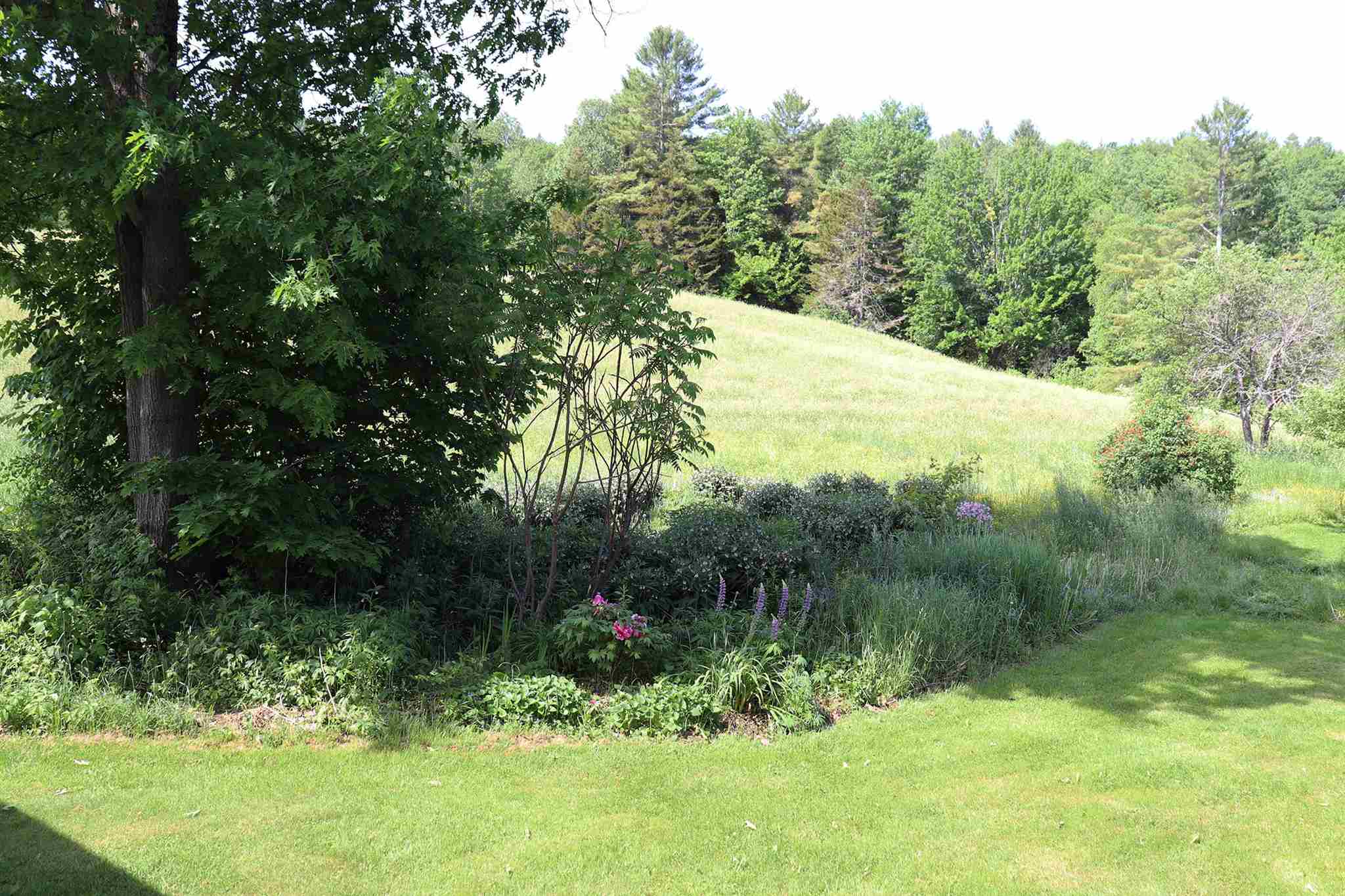 804 Morey Hill Road Craftsbury, VT 05826 - Photo 31 of 38 Gallery Image 31