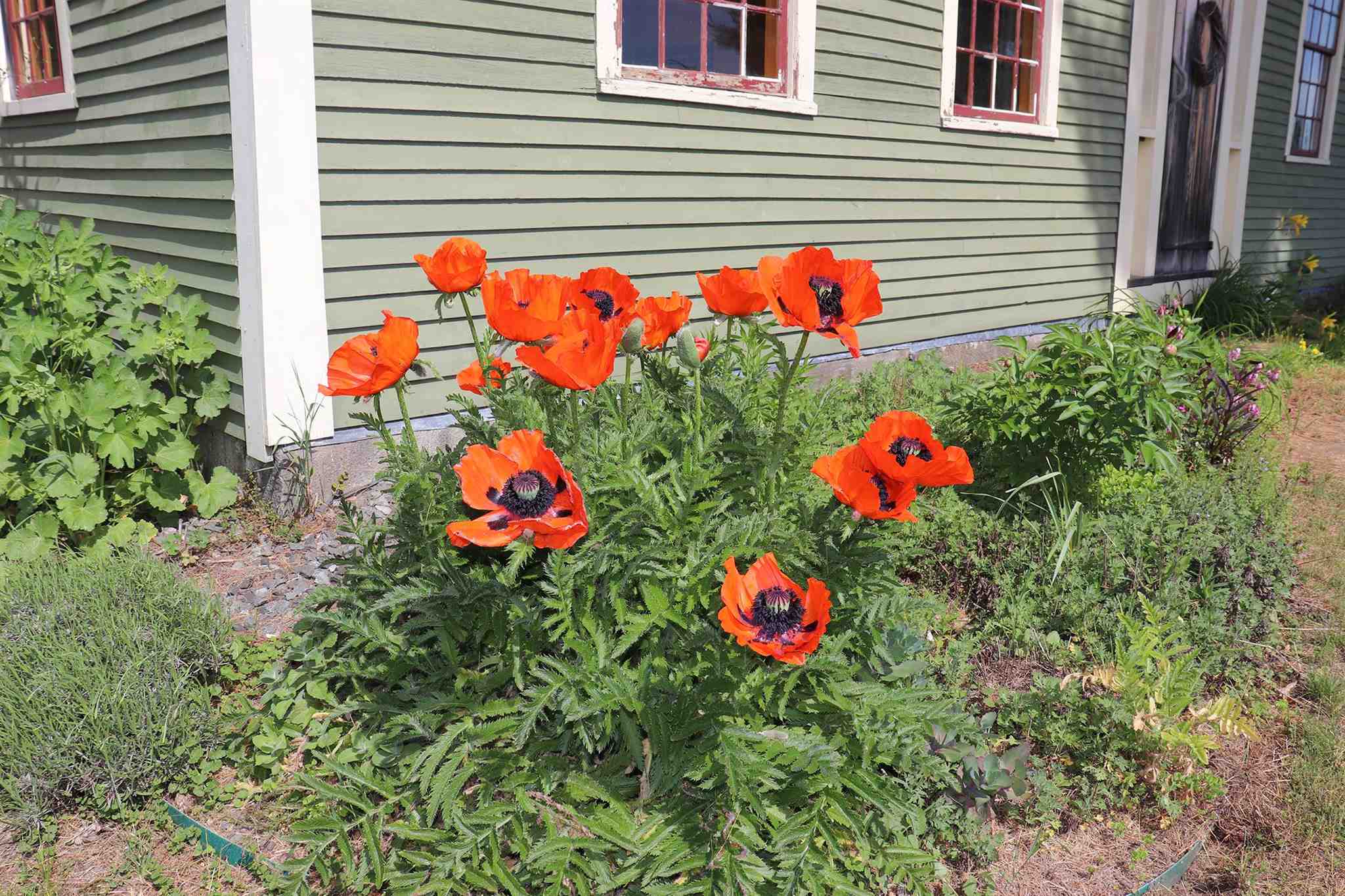 804 Morey Hill Road Craftsbury, VT 05826 - Photo 32 of 38 Gallery Image 32