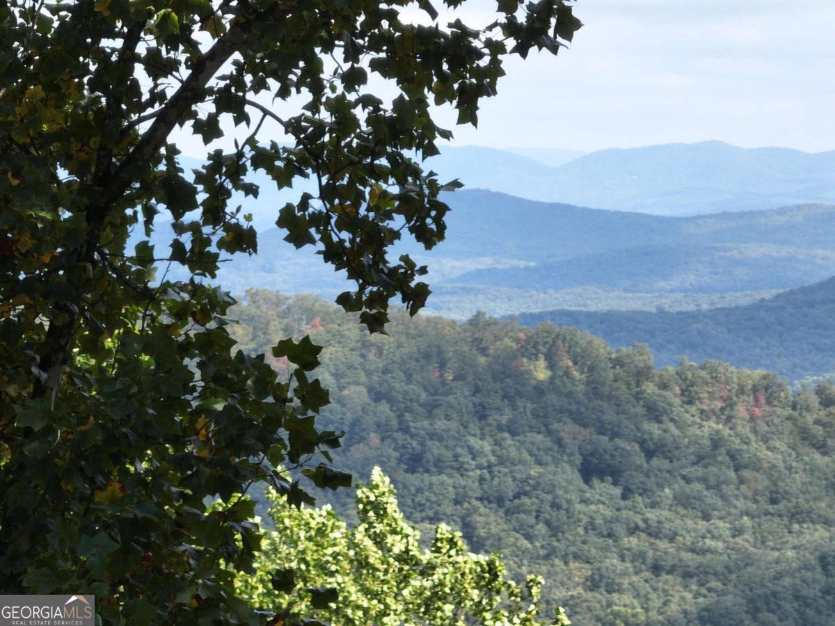 280 Andes Ridge Talking Rock, GA 30175 - Photo 4 of 45