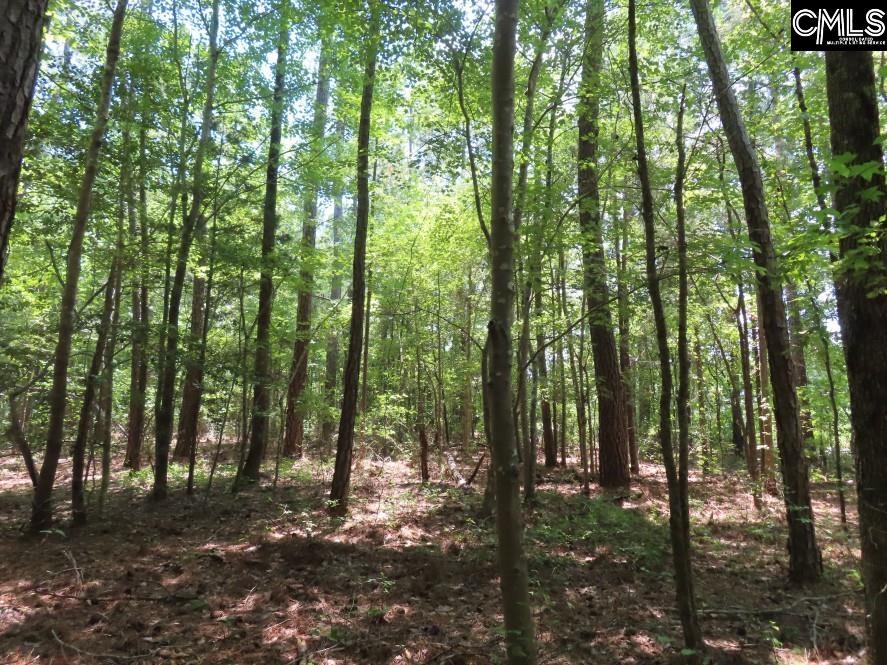 0 Park Road Ridgeway, SC 29130 - Photo 21 of 47