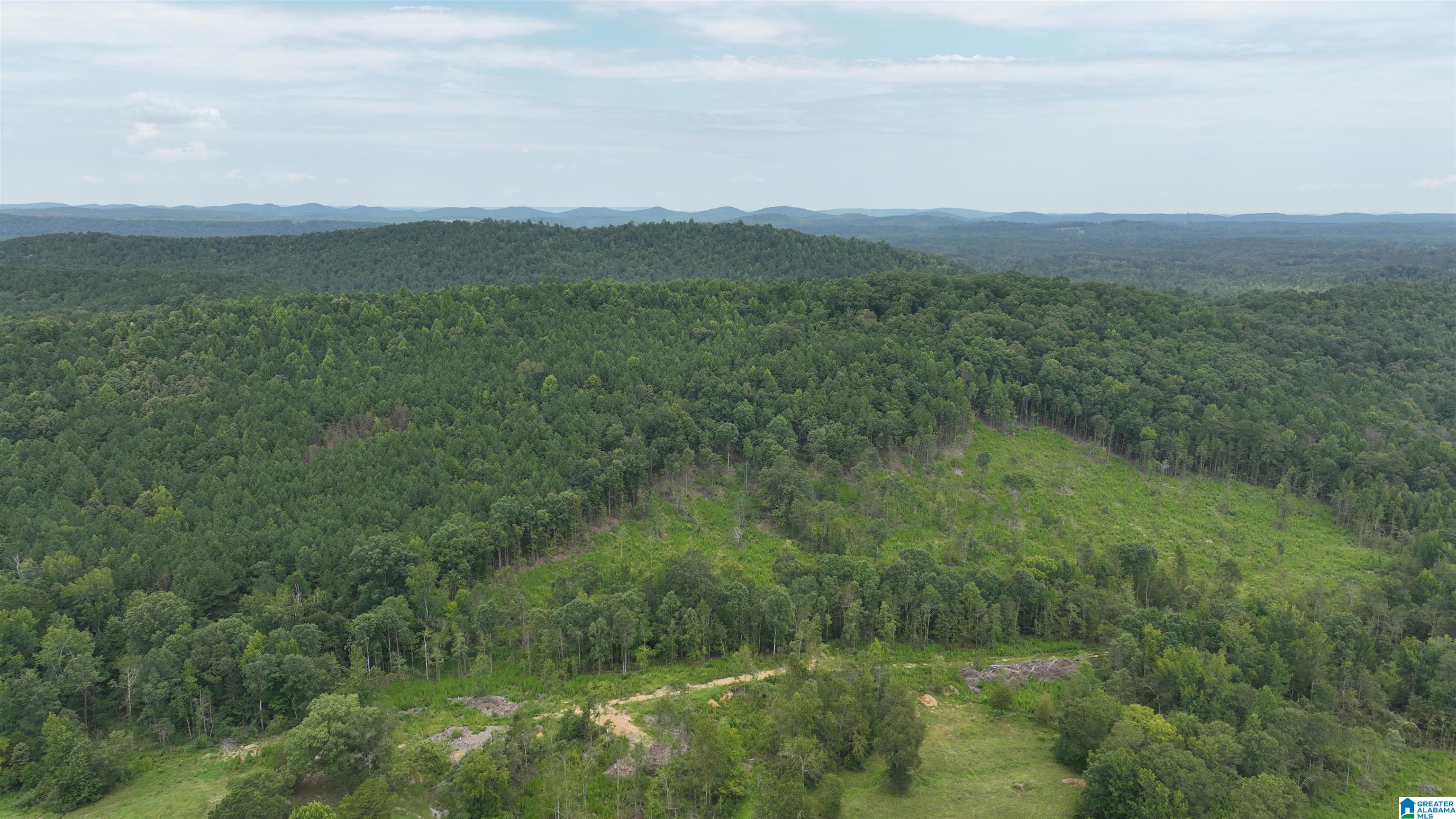 0 Boiling Springs Road Ohatchee, AL 36271 - Photo 7 of 8