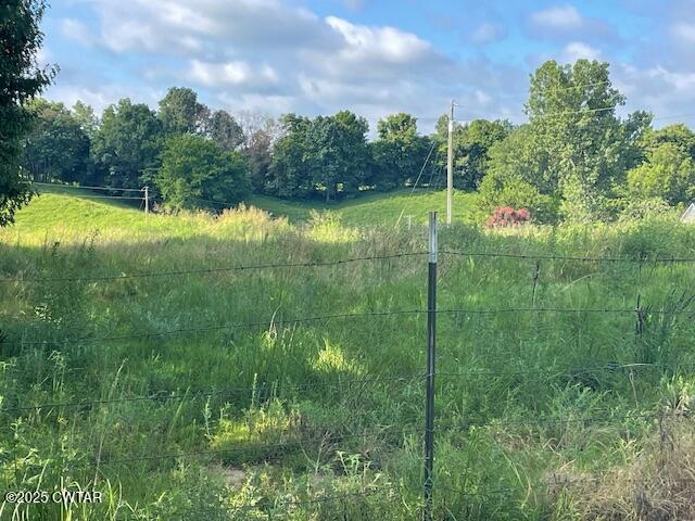 874 Key Road Troy, TN 38260 - Photo 13 of 48 a view of a garden in a lake