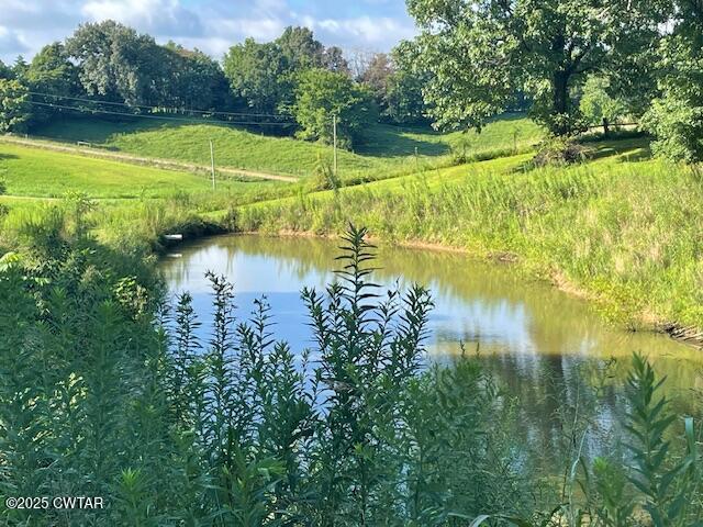 874 Key Road Troy, TN 38260 - Photo 9 of 48 a view of a lake with a yard and large trees