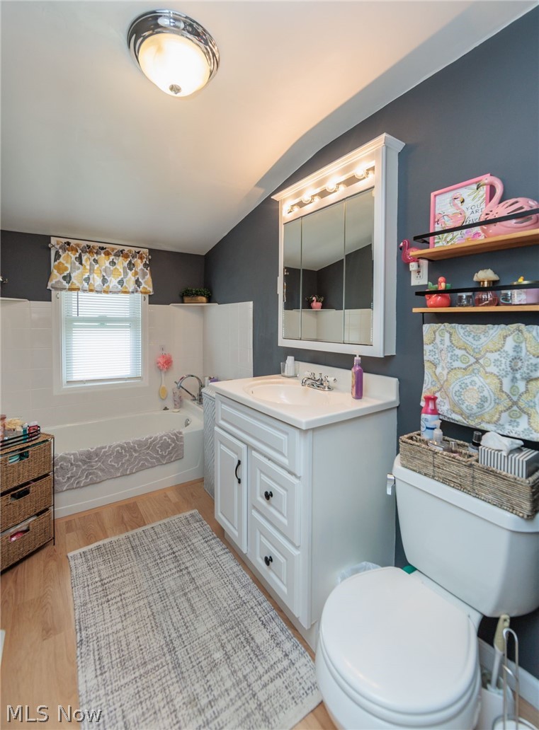 5364 Summit Road Lyndhurst, OH 44124 - Photo 19 of 42 Bathroom featuring a full vanity with a built-in sink, white cabinetry, and an illuminated medicine cabinet
