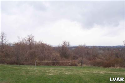 515 Berger Road Easton, PA 18042 - Photo 14 of 14 View from back yard.