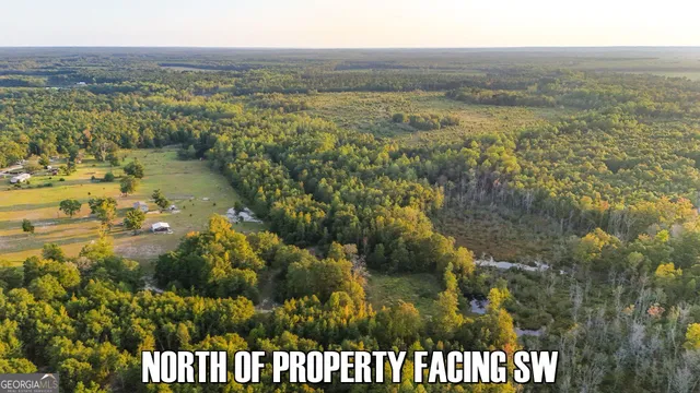 $39,000 | 0 Georgia 24, Sardis, GA 30456