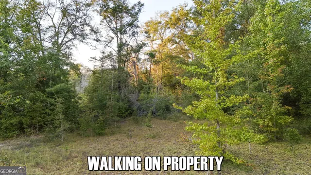 $39,000 | 0 Georgia 24, Sardis, GA 30456