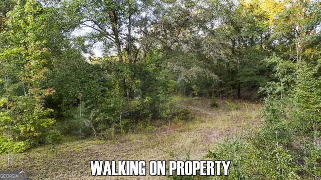 $39,000 | 0 Georgia 24, Sardis, GA 30456