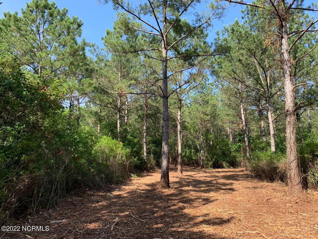 2-3 4 Midway Road Southeast Bolivia, NC 28422 - Photo 2 of 29 IMG_4058-1