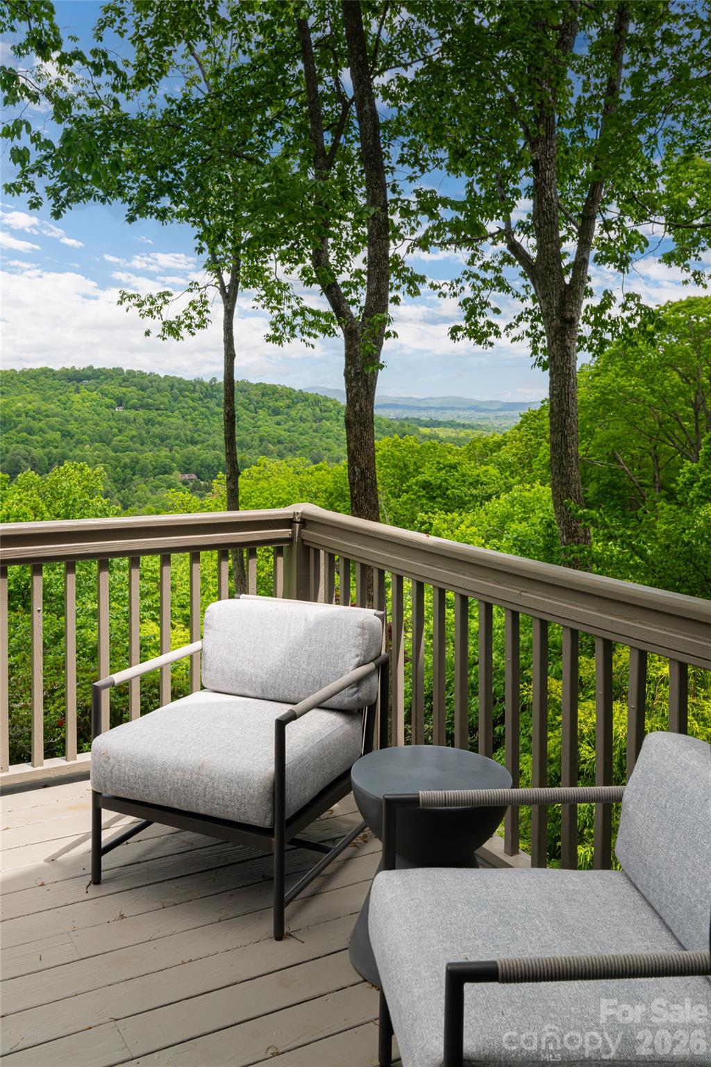 12 Spring Ridge Lane Hendersonville, NC 28739 - Photo 16 of 45 Gallery Image 16
