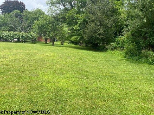 141 Sunset Heights Road Hambleton, WV 26269 - Photo 6 of 24 Gallery Image 6