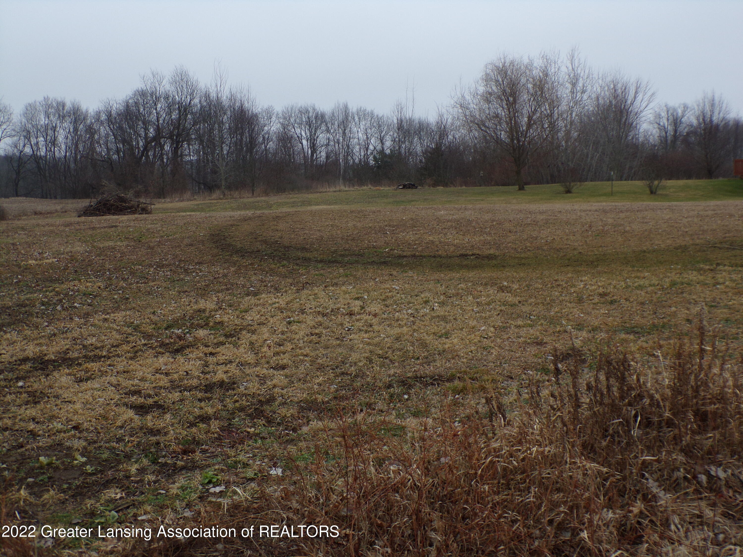 0 South Ainger Road Olivet, MI 49076 - Photo 12 of 15 100_0018