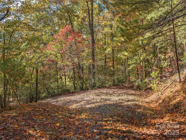 $325,000 | 0 South Cove Road, Unit 17, Mill Spring, NC 28756