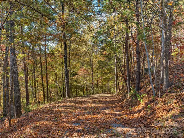 $325,000 | 0 South Cove Road, Unit 17, Mill Spring, NC 28756