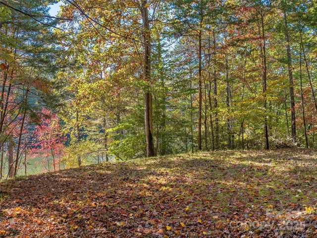 $325,000 | 0 South Cove Road, Unit 17, Mill Spring, NC 28756