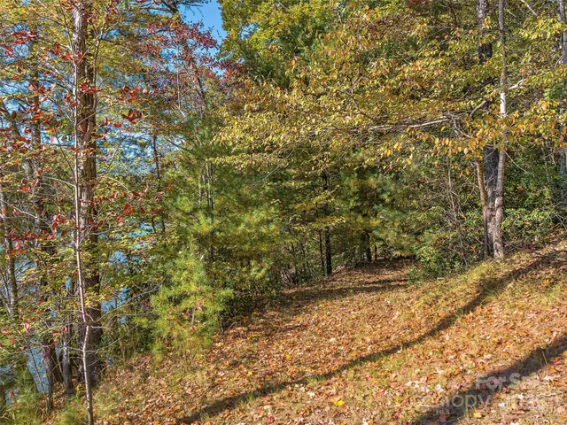 $325,000 | 0 South Cove Road, Unit 17, Mill Spring, NC 28756