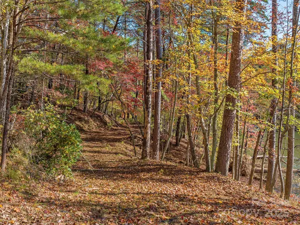 $325,000 | 0 South Cove Road, Unit 17, Mill Spring, NC 28756