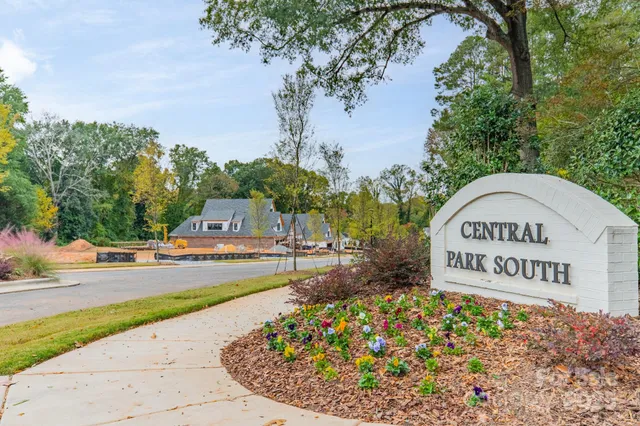 a view of a park with plants and trees