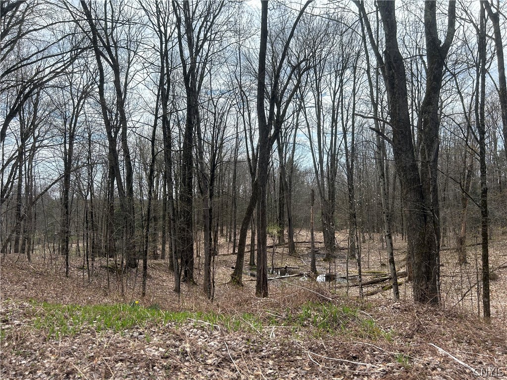 North Hillsborough Road Camden, NY 13316 - Photo 3 of 13