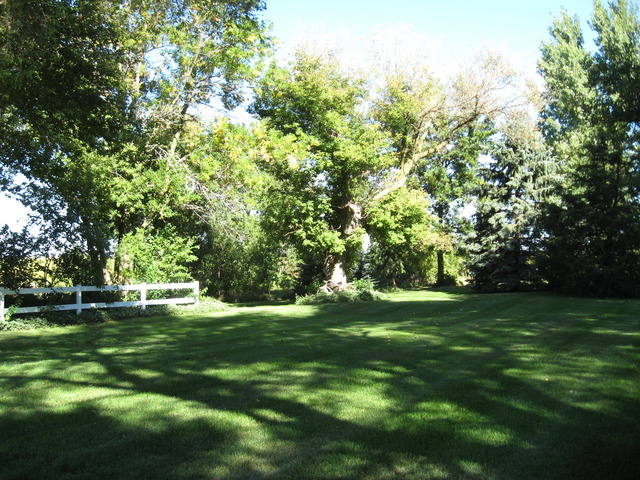 2888 Perry Road Steward, IL 60553 - Photo 4 of 25