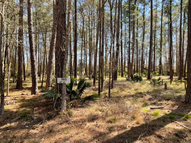 $40,000 | 0 Back Field Road, Walterboro, SC 29488