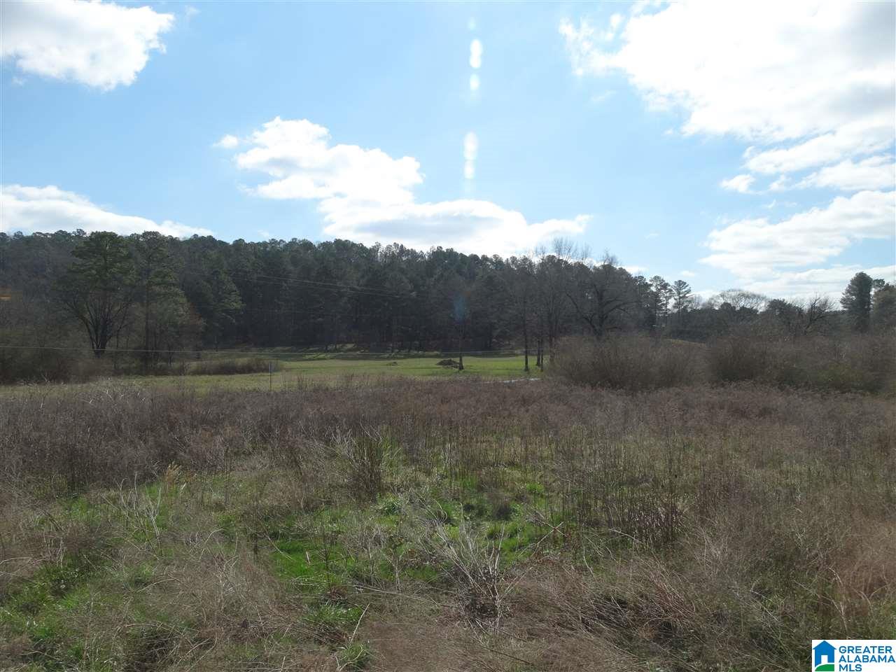 8214 Highway 144 Ragland, AL 35131 - Photo 34 of 36