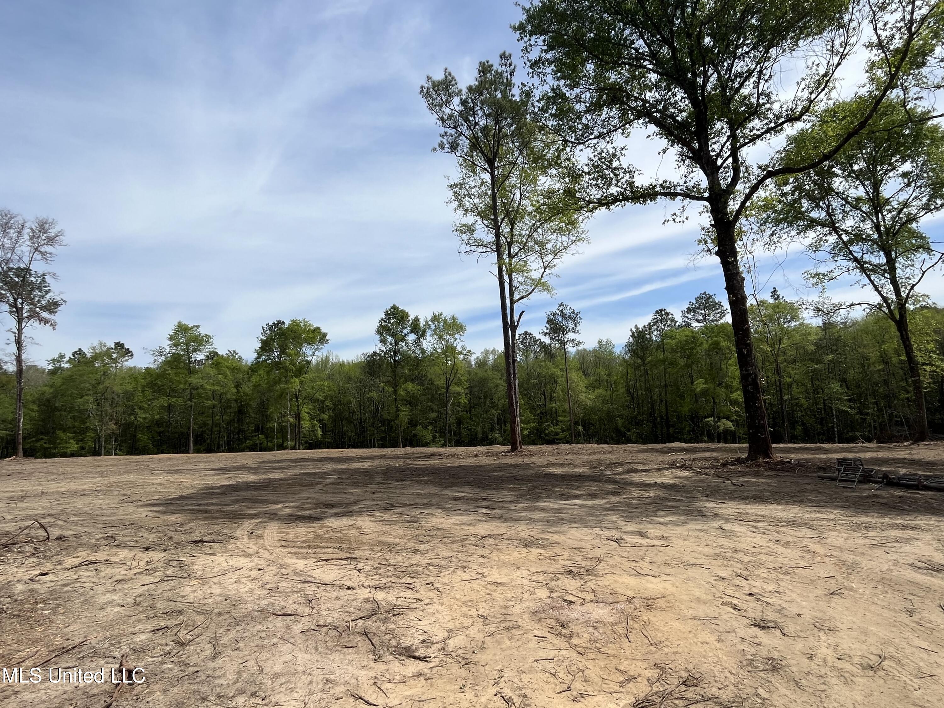 220 Prison Ridge Road Leakesville, MS 39451 - Photo 2 of 9 IMG_1097