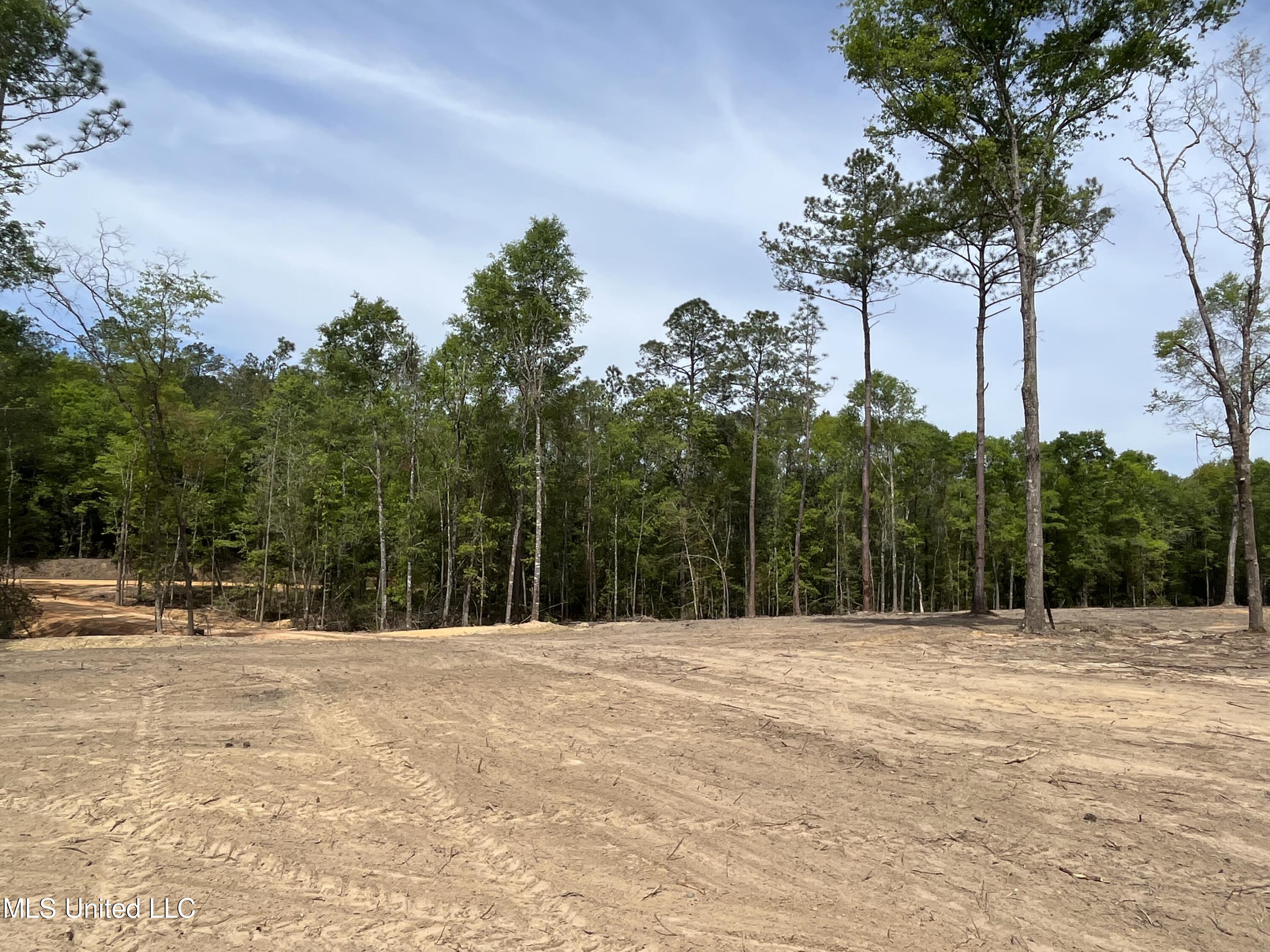 220 Prison Ridge Road Leakesville, MS 39451 - Photo 4 of 9 IMG_1100