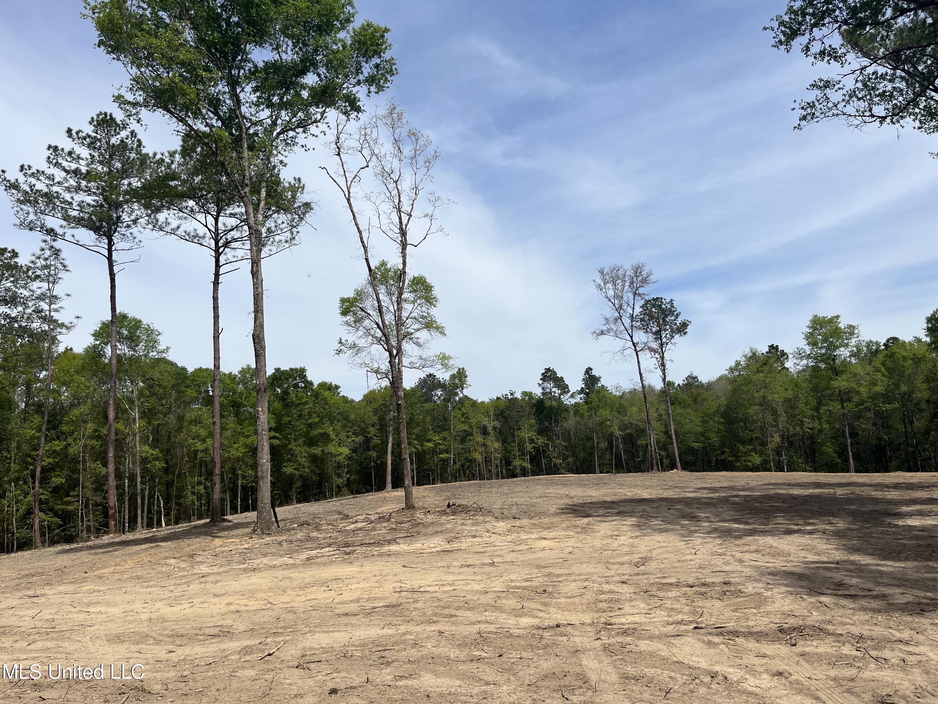 220 Prison Ridge Road Leakesville, MS 39451 - Photo 5 of 9 IMG_1099