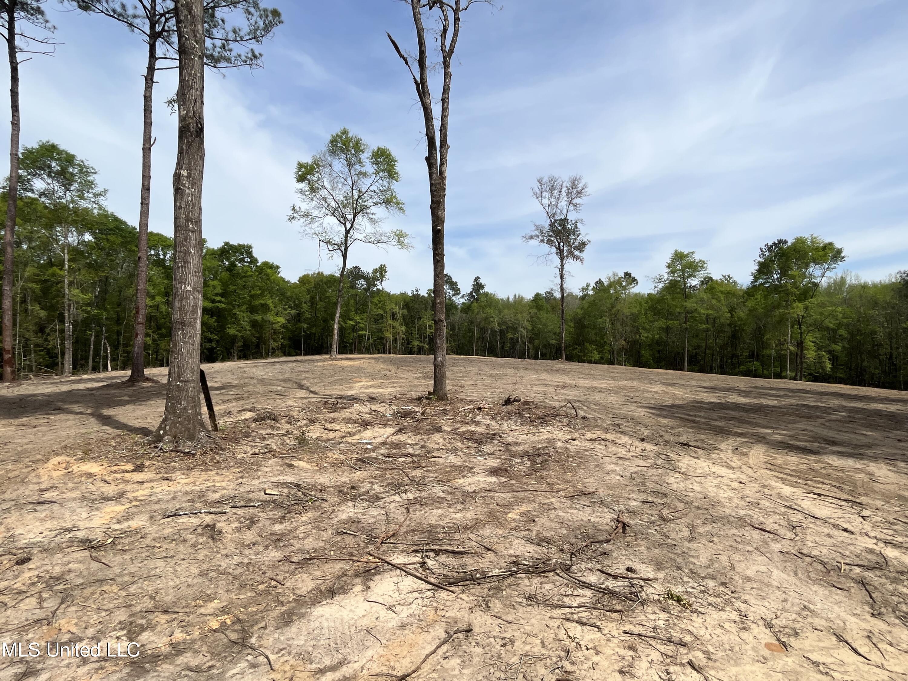220 Prison Ridge Road Leakesville, MS 39451 - Photo 6 of 9 IMG_1096