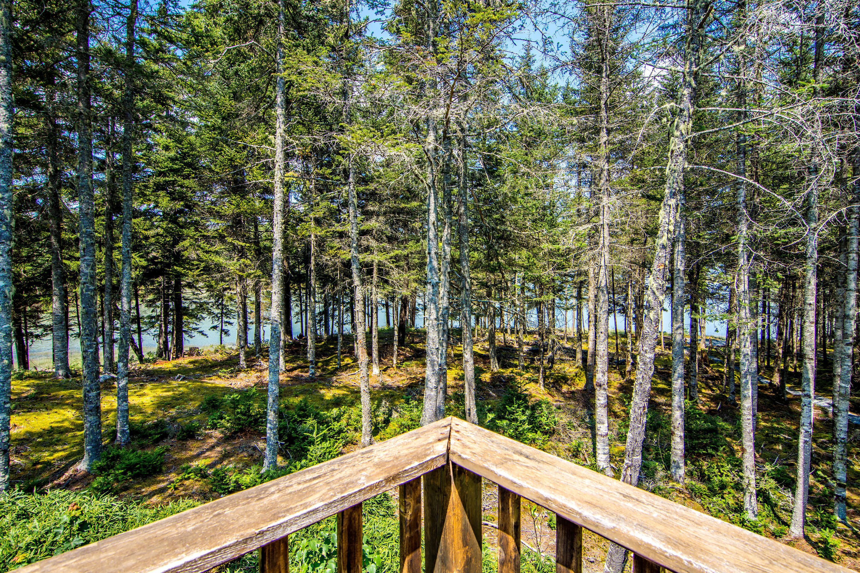 178 Gouldsboro Point Road Gouldsboro, ME 04607 - Photo 27 of 30 178 Gouldsboro Point Road-print-036-024-