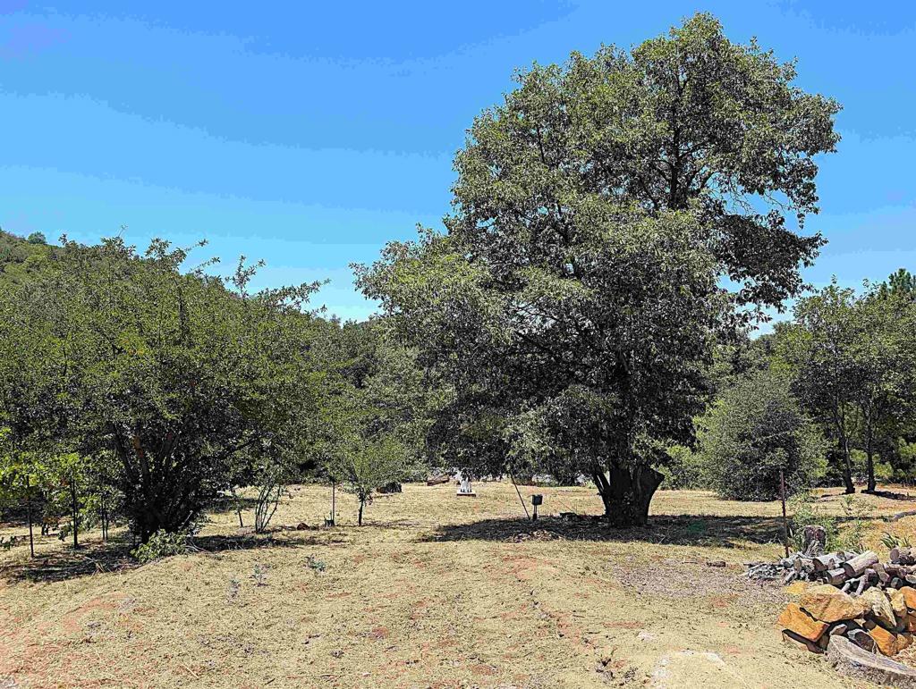 6911 Engineers Road Julian, CA 92036 - Photo 41 of 47