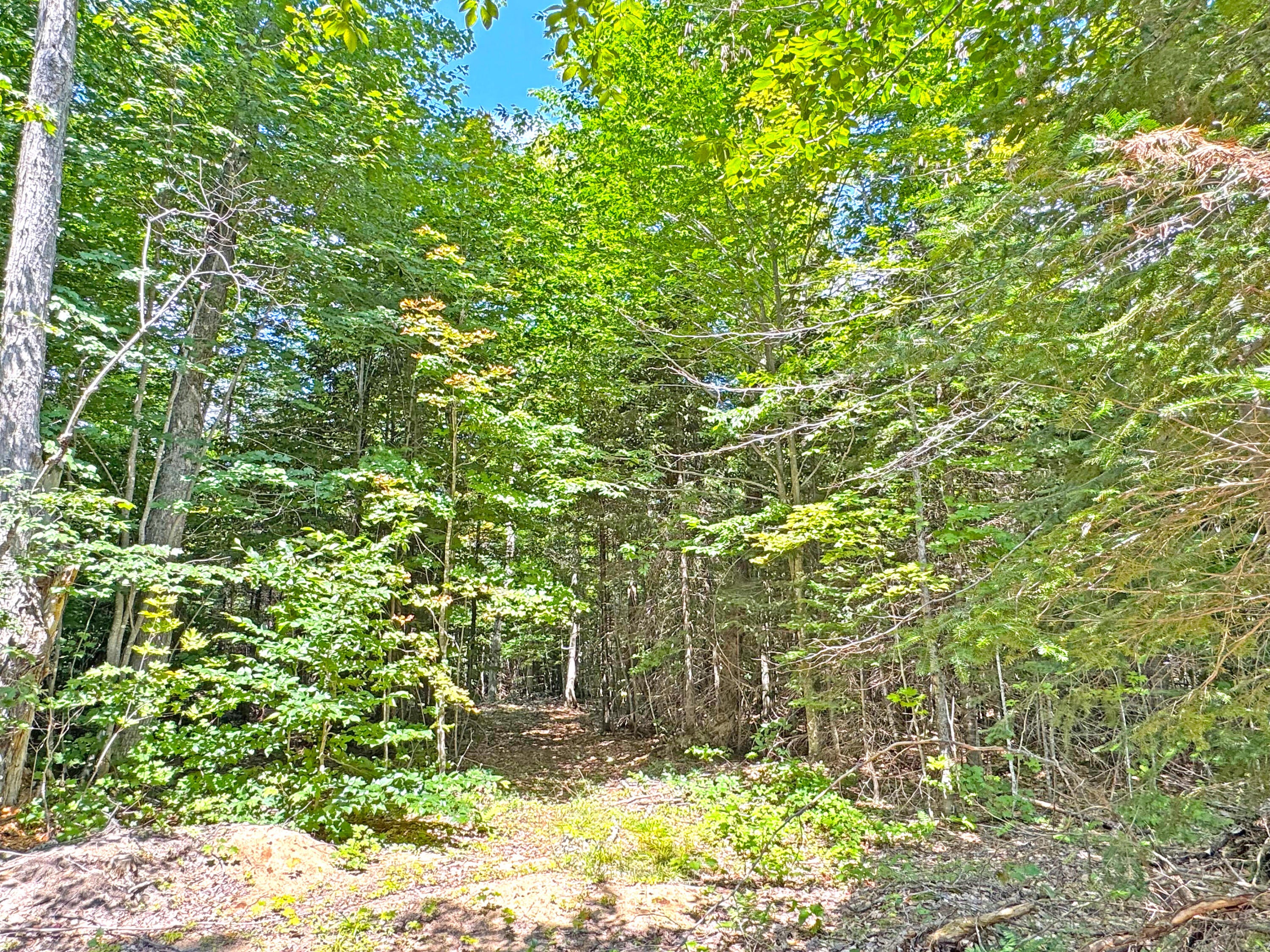 33418 West North Road Eckerman, MI 49728 - Photo 54 of 60 Gallery Image 54