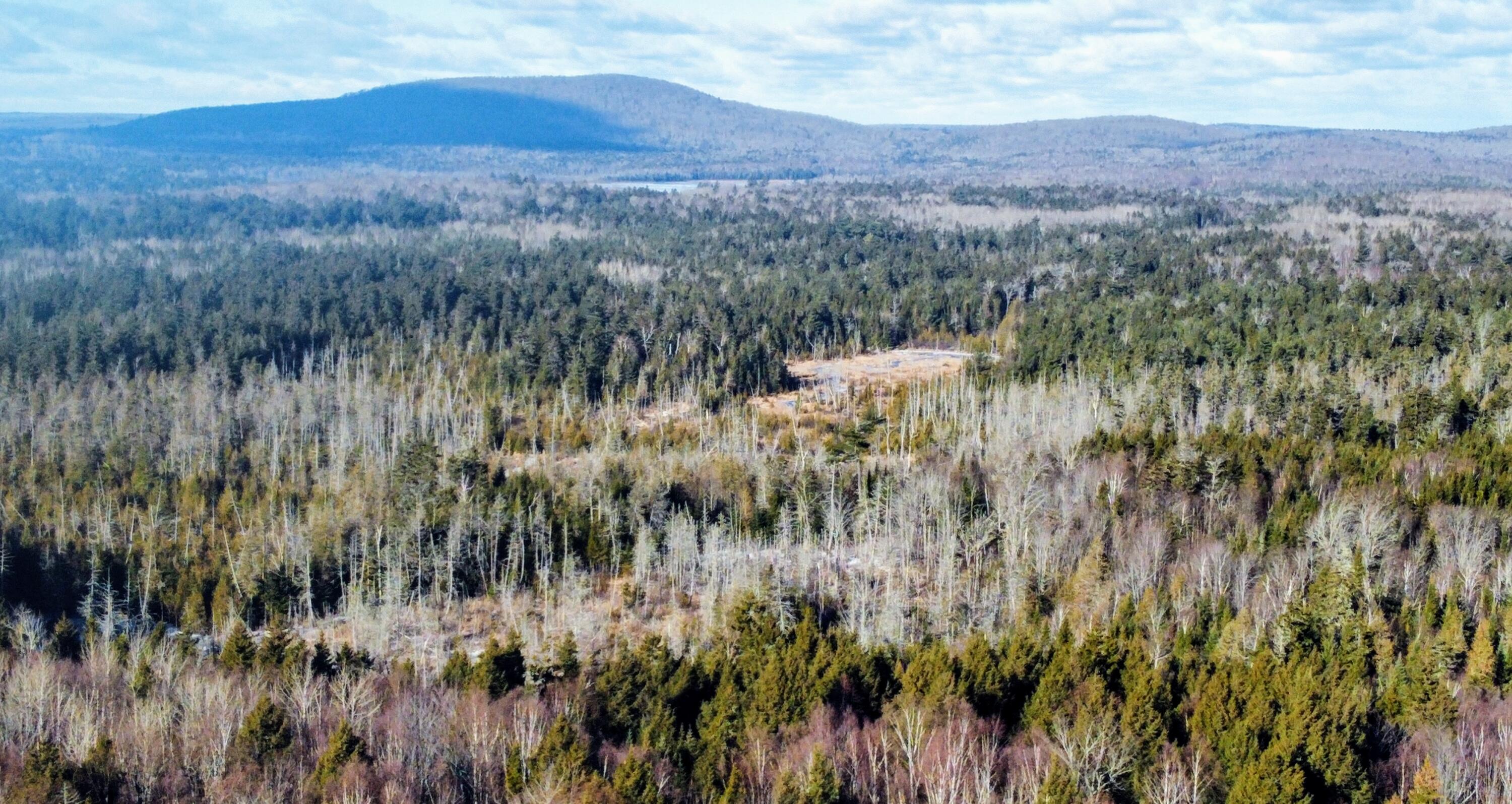 Tbd Tbd Off Mountain Road Linneus, ME 04730 - Photo 3 of 9 dji_export_1639587115901