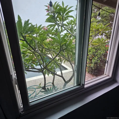 a view of a window with a tree