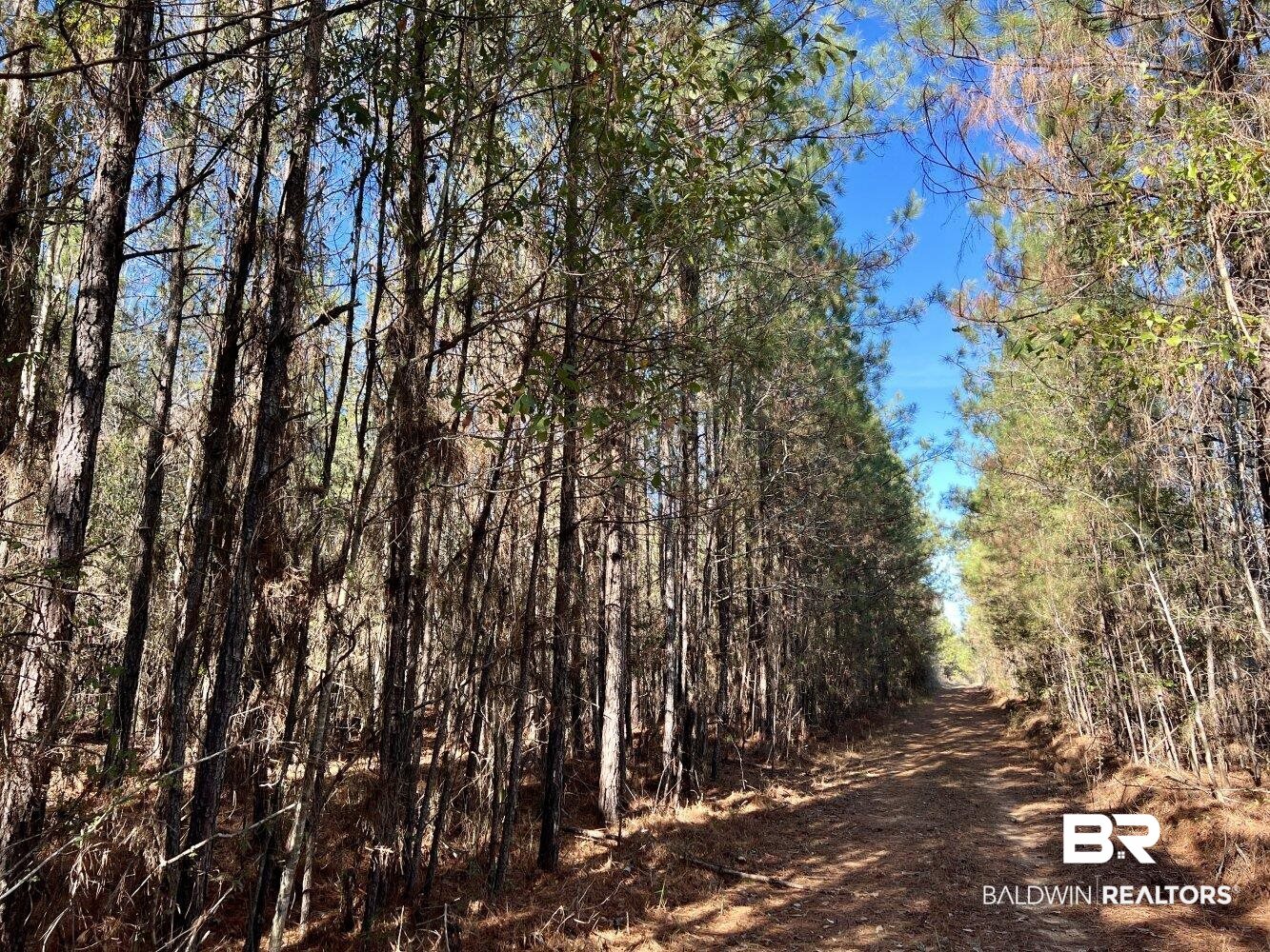 0 Highway 84 Evergreen, AL 36401 - Photo 30 of 50