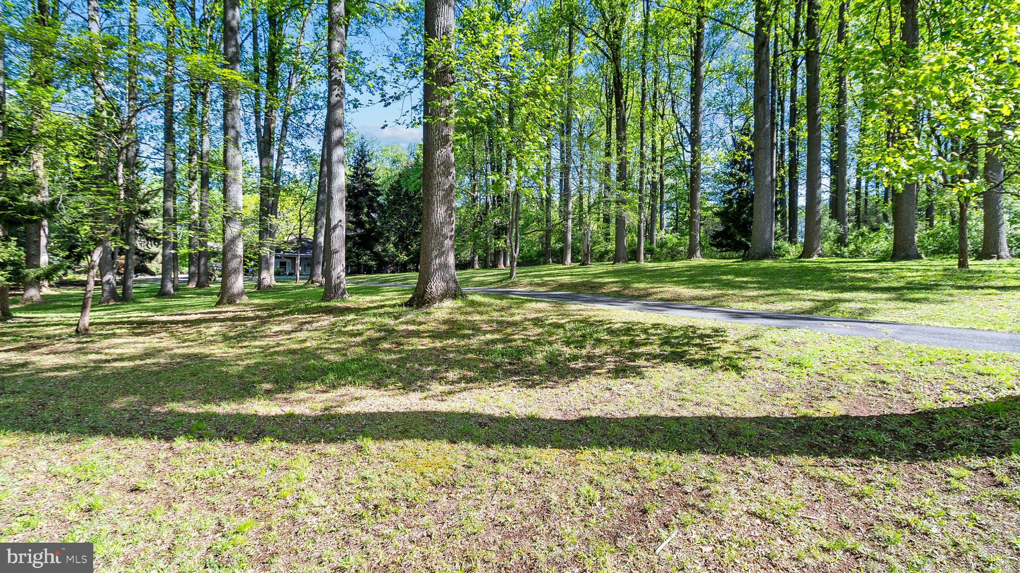501 Webb Road Chadds Ford, PA 19317 - Photo 14 of 16 a view of a park with large trees