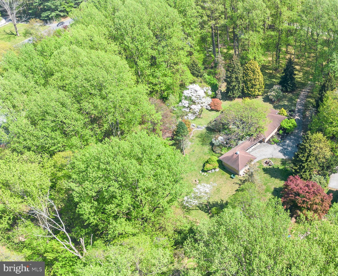 501 Webb Road Chadds Ford, PA 19317 - Photo 9 of 16 a view of a garden with plants