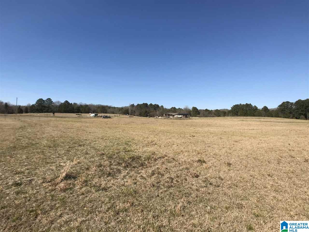 Greensport Road, Unit 2 53 Oneonta, AL 35121 - Photo 14 of 20