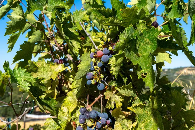 $1,799,000 | 2233 Toscana Place, Auburn, CA 95603