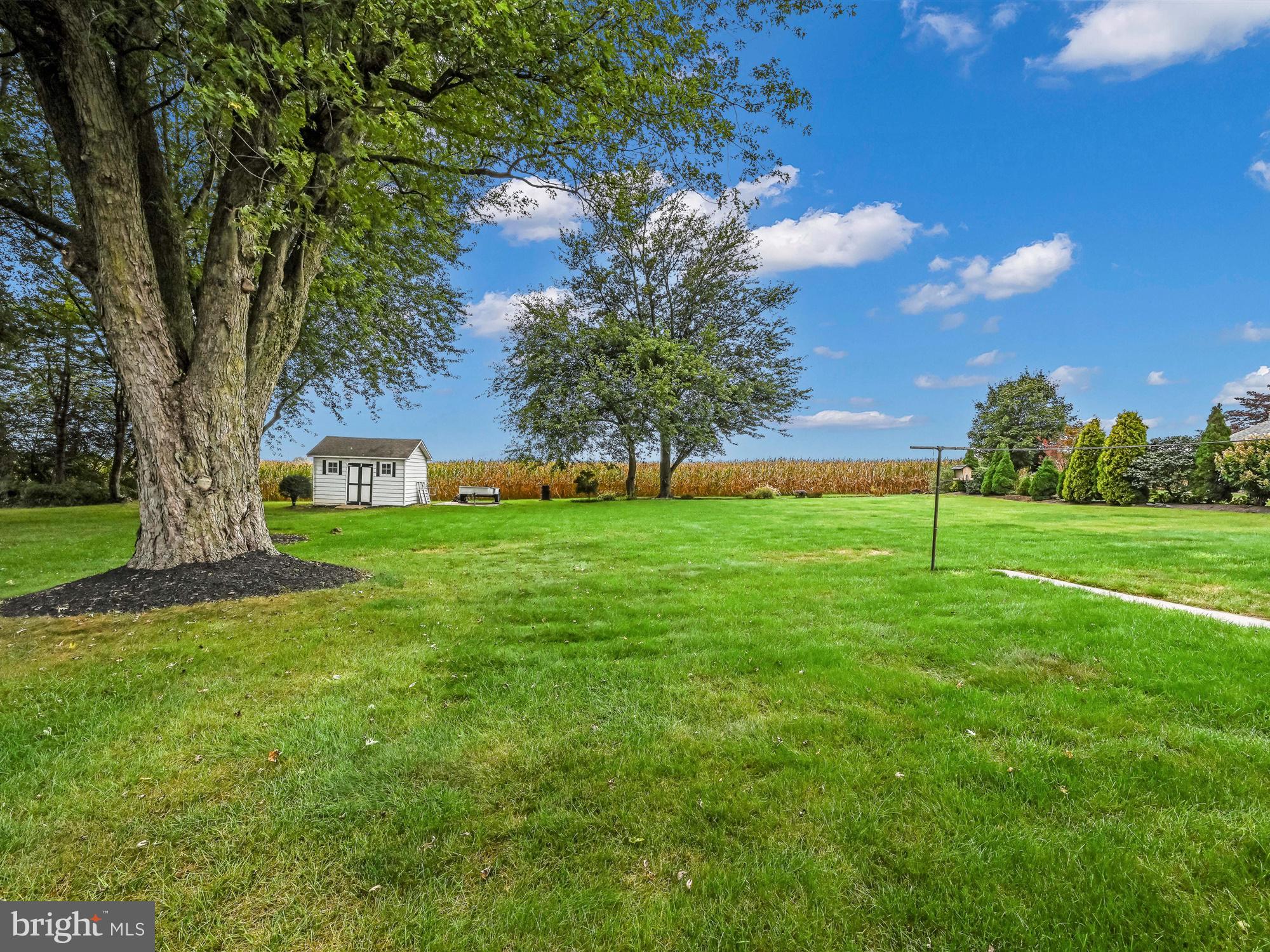 111 Wintersville Road Myerstown, PA 17067 - Photo 24 of 29 Wonderful back yard setting-