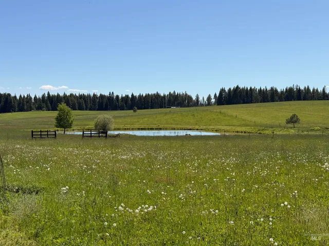 $499,000 | 5656 Three Mile Road, Weippe, ID 83553