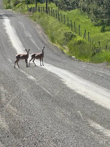$499,000 | 5656 Three Mile Road, Weippe, ID 83553
